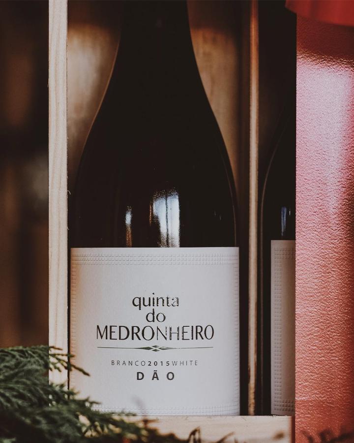 Quinta Do Medronheiro Hotel Rural ヴィゼウ エクステリア 写真